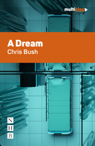 Chris Bush: A Dream (NHB Modern Plays)