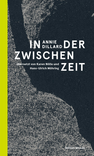 Annie Dillard: In der Zwischenzeit