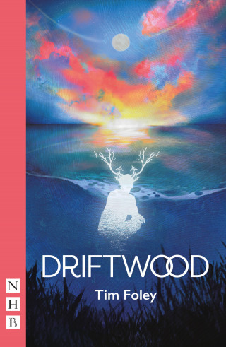 Tim Foley: Driftwood (NHB Modern Plays)