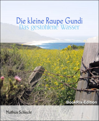 Matthias Schlecht: Die kleine Raupe Gundi
