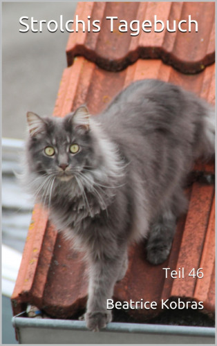Beatrice Kobras: Strolchis Tagebuch - Teil 46