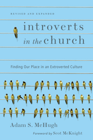 Adam S. McHugh: Introverts in the Church