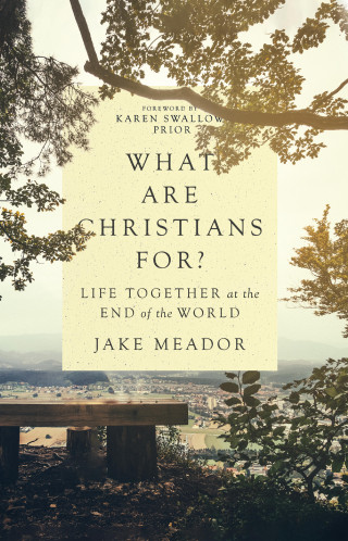 Jake Meador: What Are Christians For?