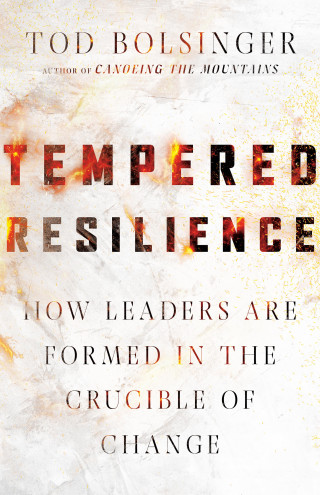 Tod Bolsinger: Tempered Resilience
