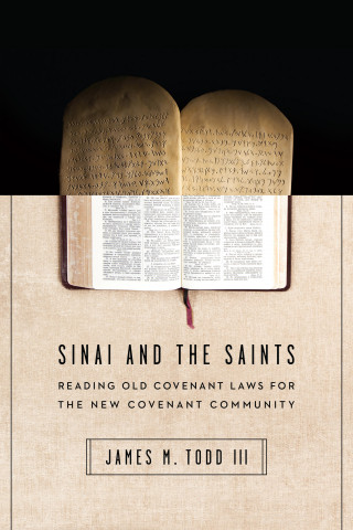 James M. Todd III: Sinai and the Saints