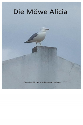 Bernhard Inderst: Die Möwe Alicia