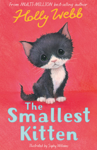 Holly Webb: The Smallest Kitten