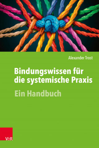 Alexander Trost: Bindungswissen für die systemische Praxis