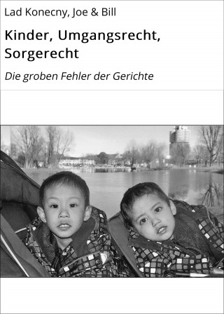 Joe Lad Konecny, Bill Lad Konecny: Kinder, Umgangsrecht, Sorgerecht