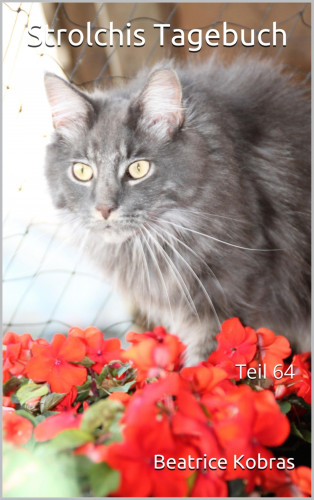 Beatrice Kobras: Strolchis Tagebuch - Teil 64