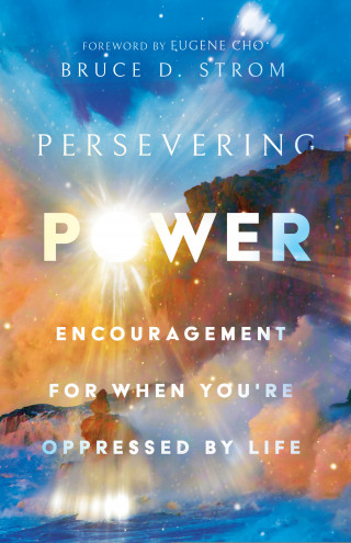 Bruce D. Strom: Persevering Power
