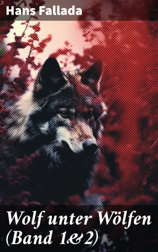 Hans Fallada: Wolf unter Wölfen (Band 1&2)