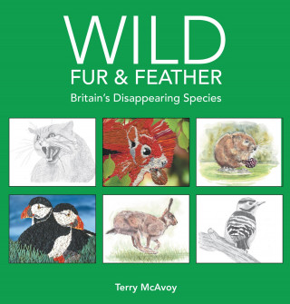 Terry McAvoy: Wild Fur & Feather