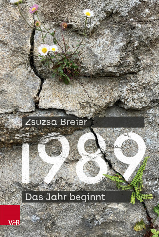 Zsuzsa Breier: 1989