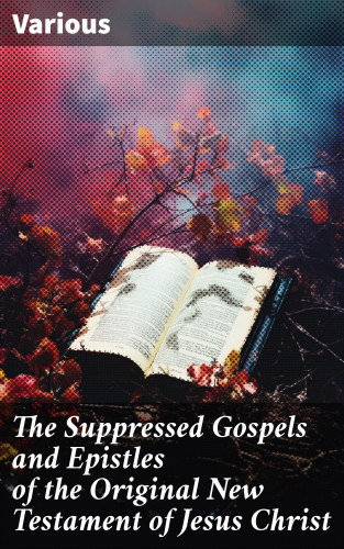 Diverse: The Suppressed Gospels and Epistles of the Original New Testament of Jesus Christ