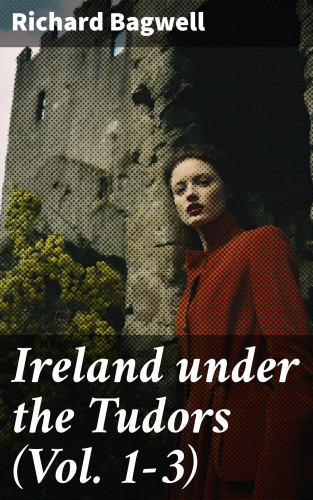 Richard Bagwell: Ireland under the Tudors (Vol. 1-3)