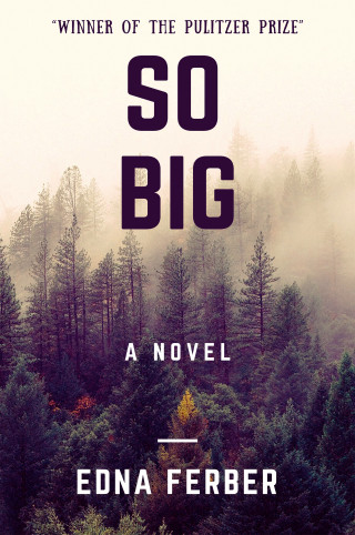 Edna Ferber: So Big (A Novel)