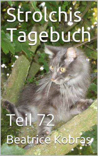 Beatrice Kobras: Strolchis Tagebuch - Teil 72