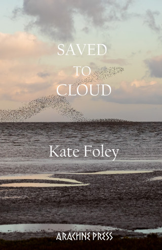 Kate Foley: Saved to Cloud