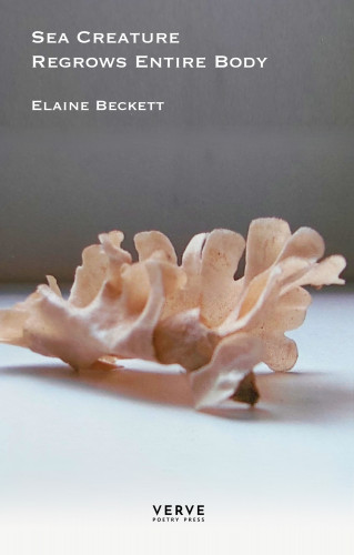 Elaine Beckett: Sea Creature Regrows Entire Body