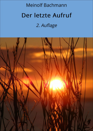 Meinolf Bachmann: Der letzte Aufruf