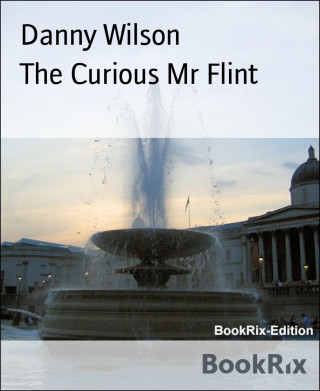 Danny Wilson: The Curious Mr Flint
