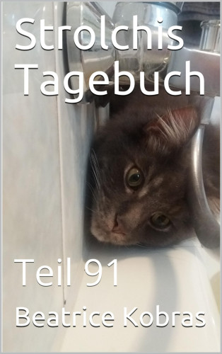 Beatrice Kobras: Strolchis Tagebuch - Teil 91