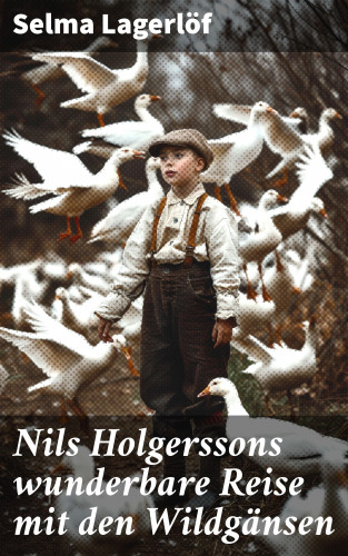 Selma Lagerlöf: Nils Holgerssons wunderbare Reise mit den Wildgänsen