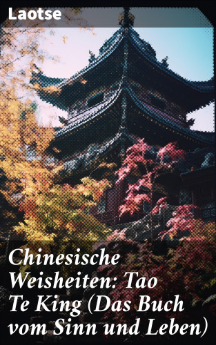 Laotse: Chinesische Weisheiten: Tao Te King (Das Buch vom Sinn und Leben)