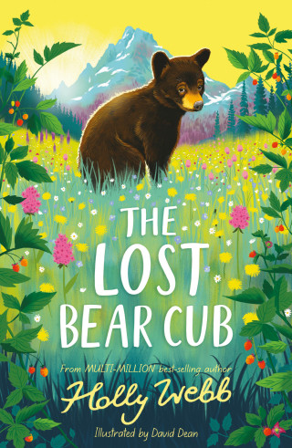 Holly Webb: The Lost Bear Cub