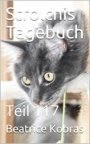 Beatrice Kobras: Strolchis Tagebuch - Teil 117