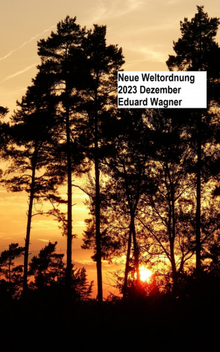 Eduard Wagner: Neue Weltordnung 2023 Dezember