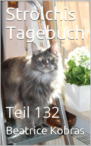 Beatrice Kobras: Strolchis Tagebuch - Teil 132