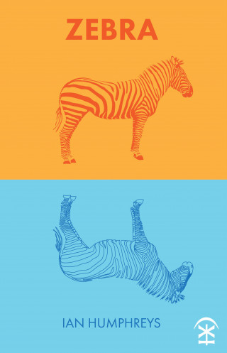 Ian Humphreys: Zebra