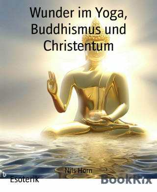 Nils Horn: Wunder im Yoga, Buddhismus und Christentum