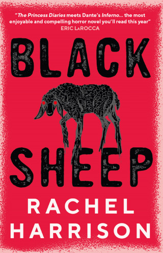 Rachel Harrison: Black Sheep
