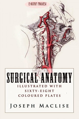 Joseph Maclise: Surgical Anatomy