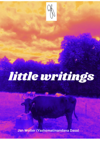Jan Wolter: little writings