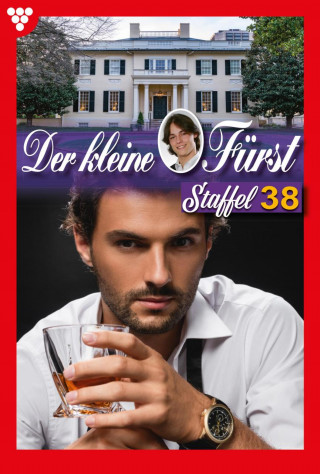 Viola Maybach: E-Book 371-380