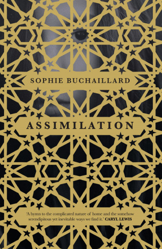 Sophie Buchaillard: Assimilation