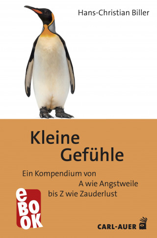 Hans-Christian Biller: Kleine Gefühle