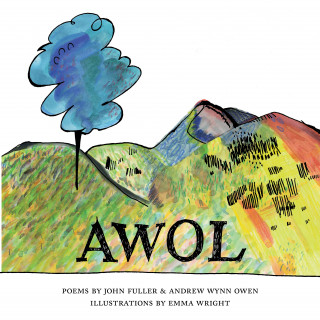 John Fuller, Andrew Wynn Owen: AWOL