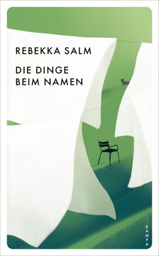 Rebekka Salm: Die Dinge beim Namen