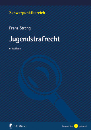 Franz Streng: Jugendstrafrecht