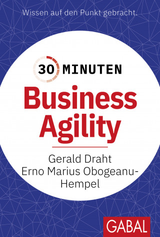 Gerald Draht, Erno Marius Obogeanu-Hempel: 30 Minuten Business Agility