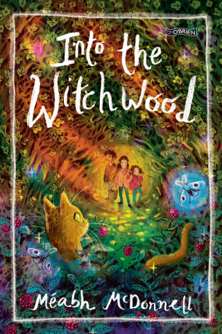 Méabh McDonnell: Into the Witchwood