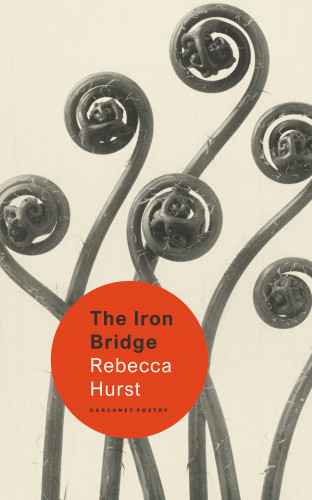 Rebecca Hurst: The Iron Bridge