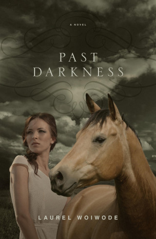 Laurel Woiwode: Past Darkness