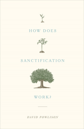 David Powlison: How Does Sanctification Work?