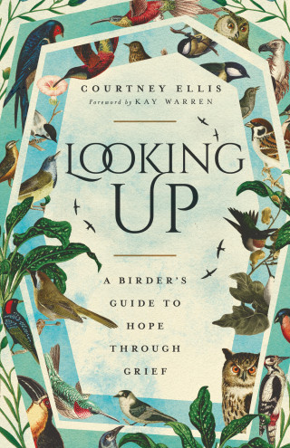 Courtney Ellis: Looking Up